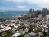 Blick auf Stadt und Hafen vom Coit Tower aus.